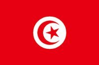 22px-Flag_of_Tunisia
