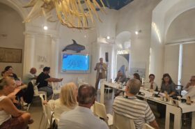 ICMG writes history with the sustainability in the Mediterranean Games