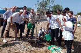ICMG creates the first-ever Mediterranean Athletes’ forest